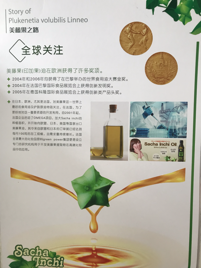 美藤果种子，印奇果种子，星油藤种子
