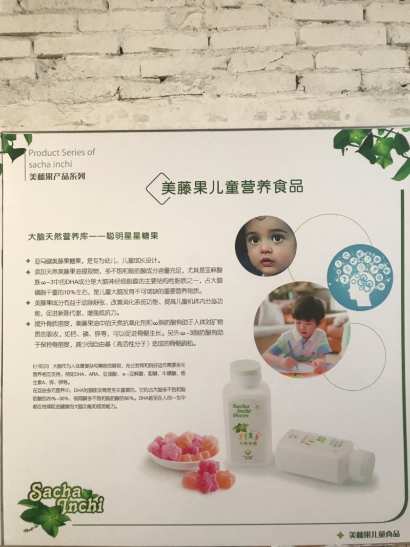 美藤果种子，印奇果种子，星油藤种子