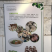美藤果，印奇果，星油藤