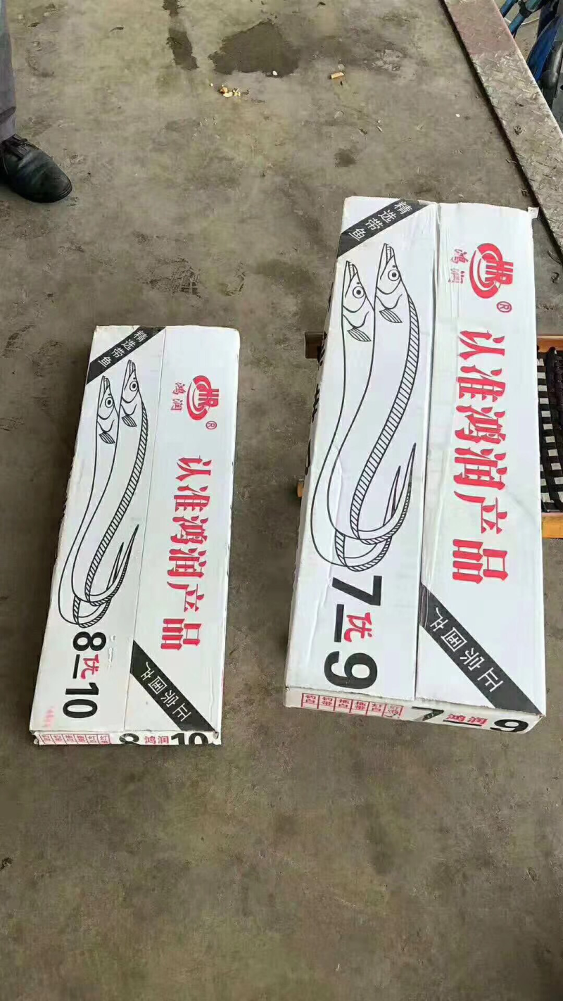 刀鱼