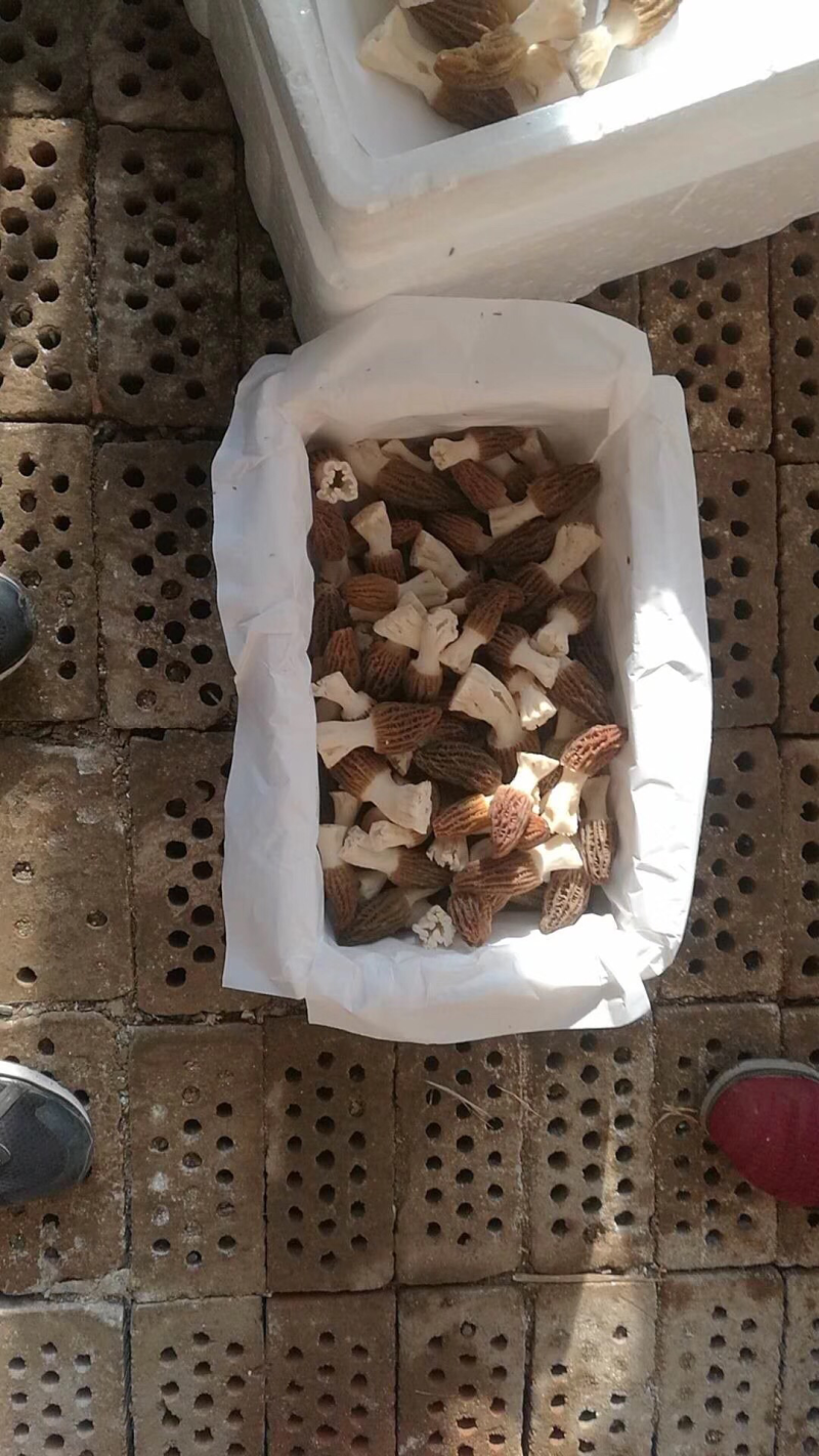 特价爆款持续到春节