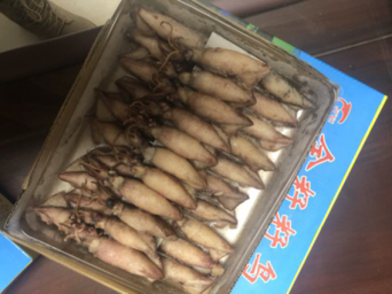 全籽籽乌