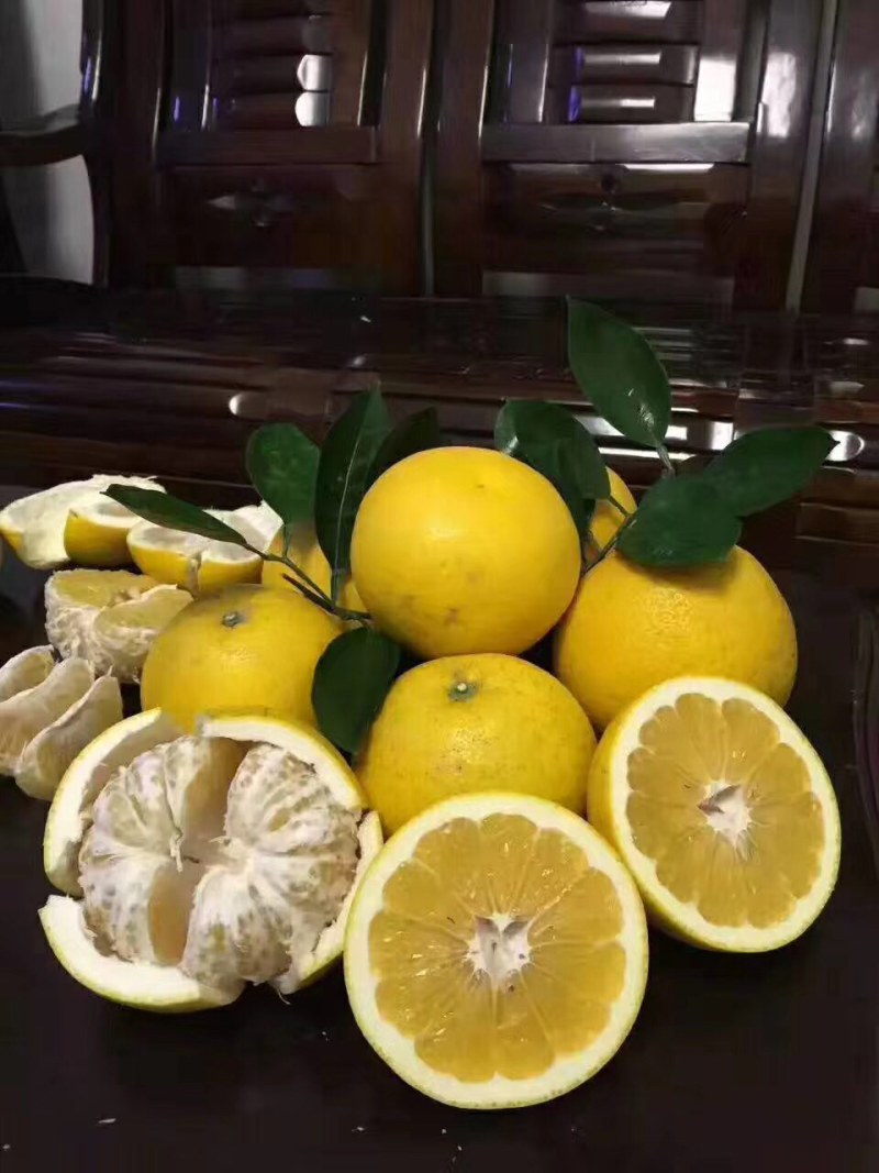 胡柚