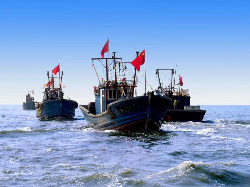 虾皮咸，压板货