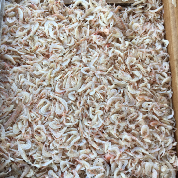 虾皮咸，压板货