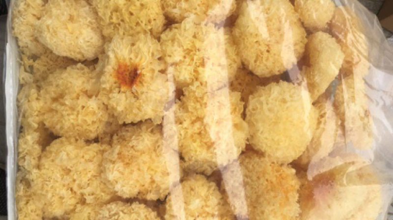 银耳，超大朵，古田银耳！产地直发，两朵一包！量大从优！