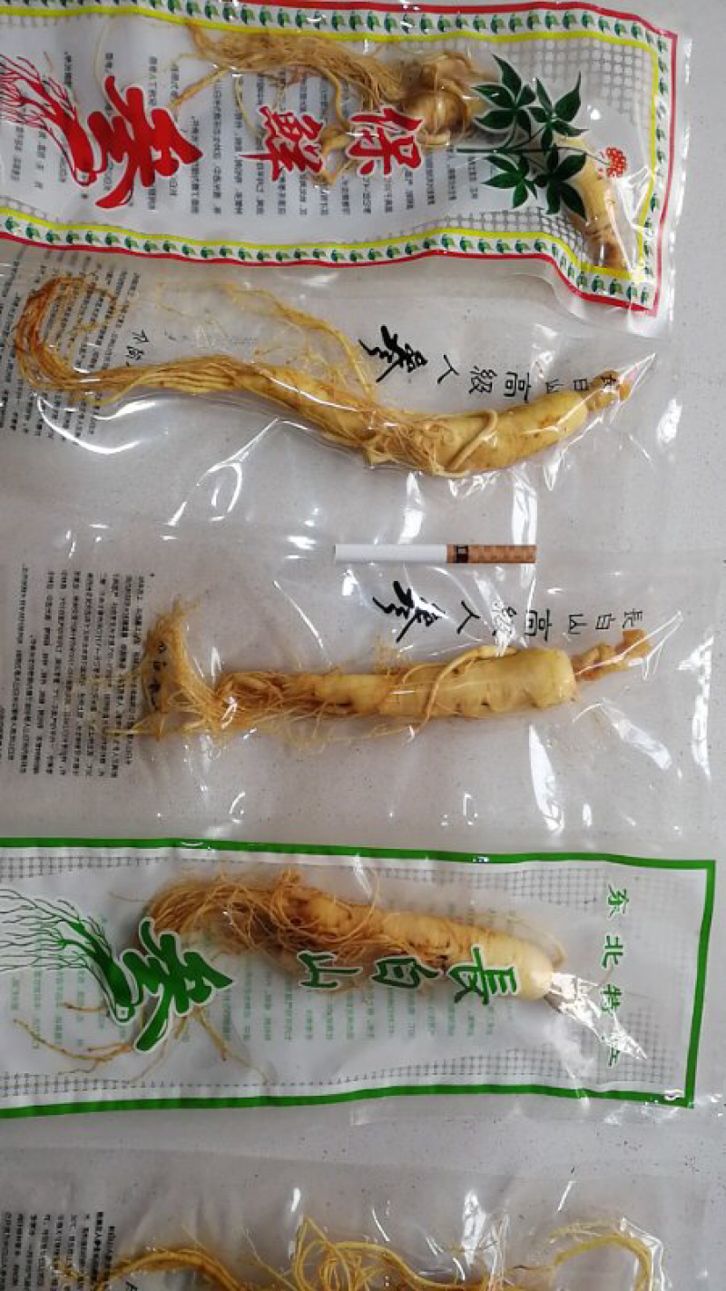 人参