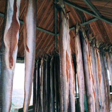 （爆品）批发舟山风鳗肉质白嫩香且爽口味道鲜美