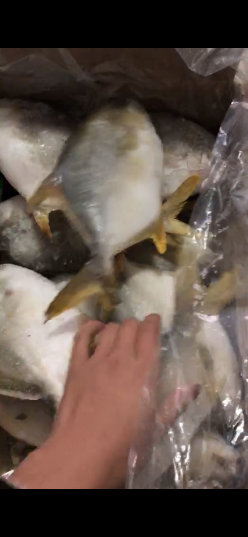 金昌海鲜海洋鱼