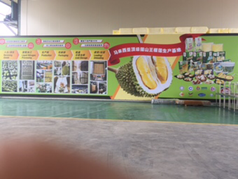 马来西亚🇲🇾正宗劳勿猫山王榴莲！