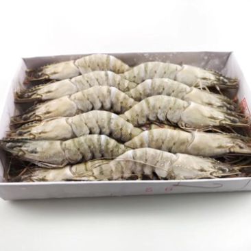 带头草虾
