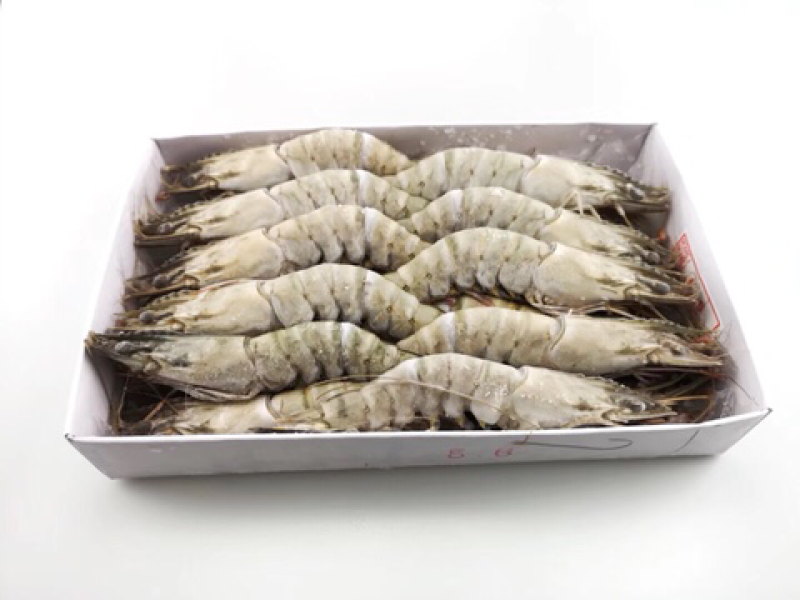 带头草虾