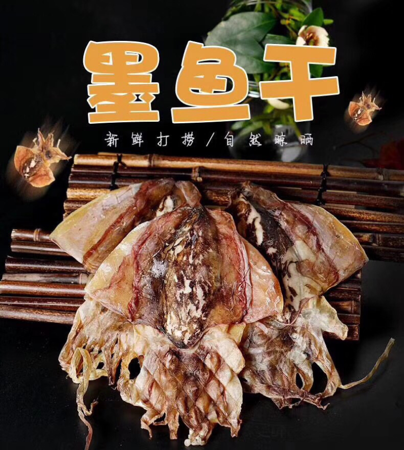 墨鱼