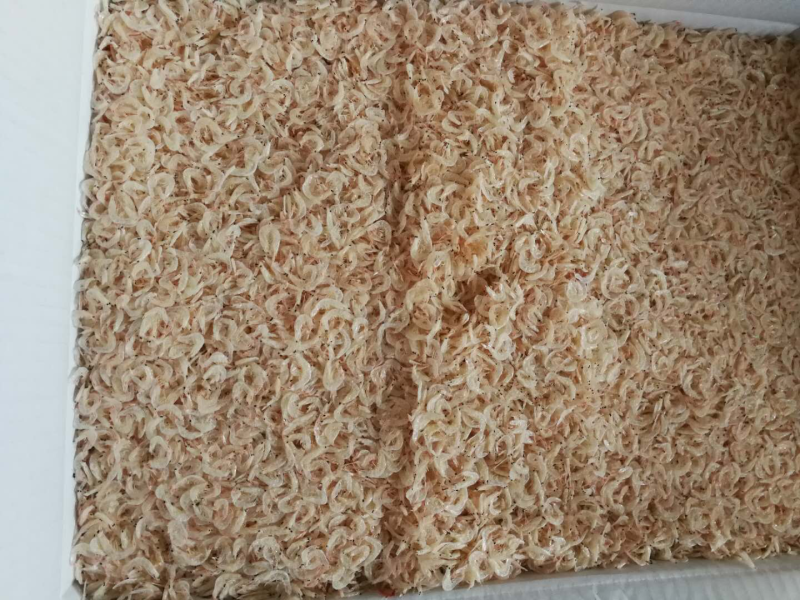 东山野生虾皮
