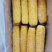 速冻蔬菜毛豆甜玉米