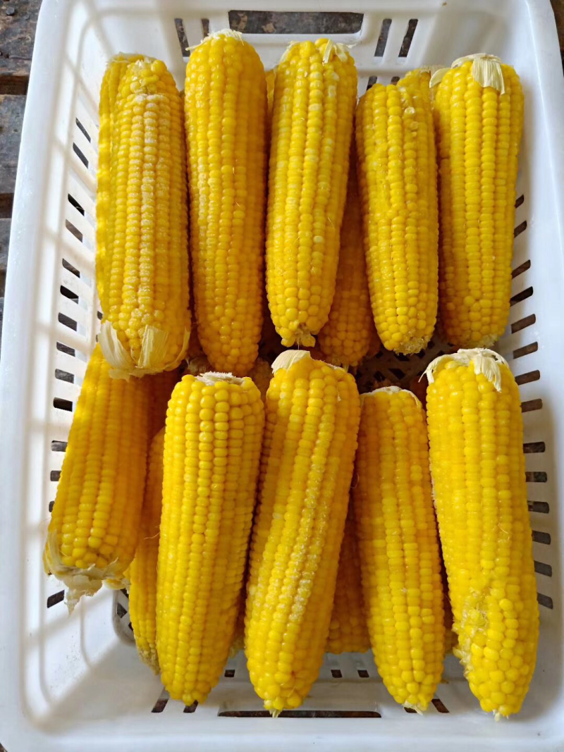 速冻蔬菜毛豆甜玉米