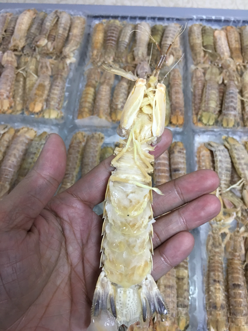 航霸水产皮皮虾。