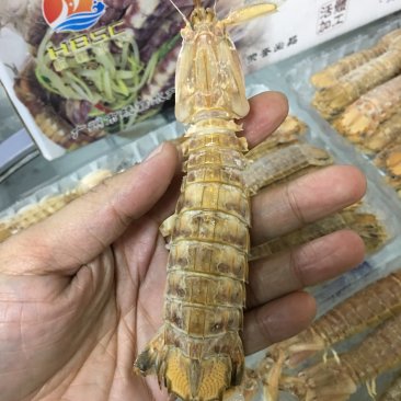 航霸水产皮皮虾。