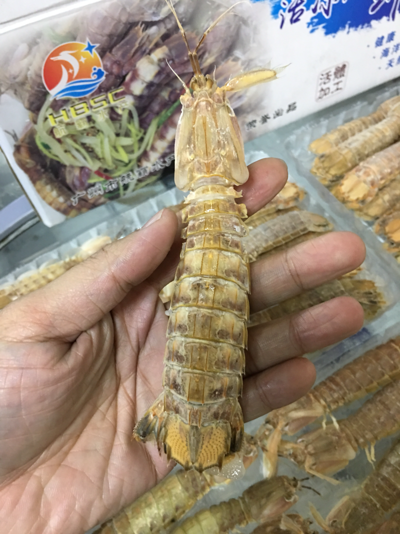 航霸水产皮皮虾。