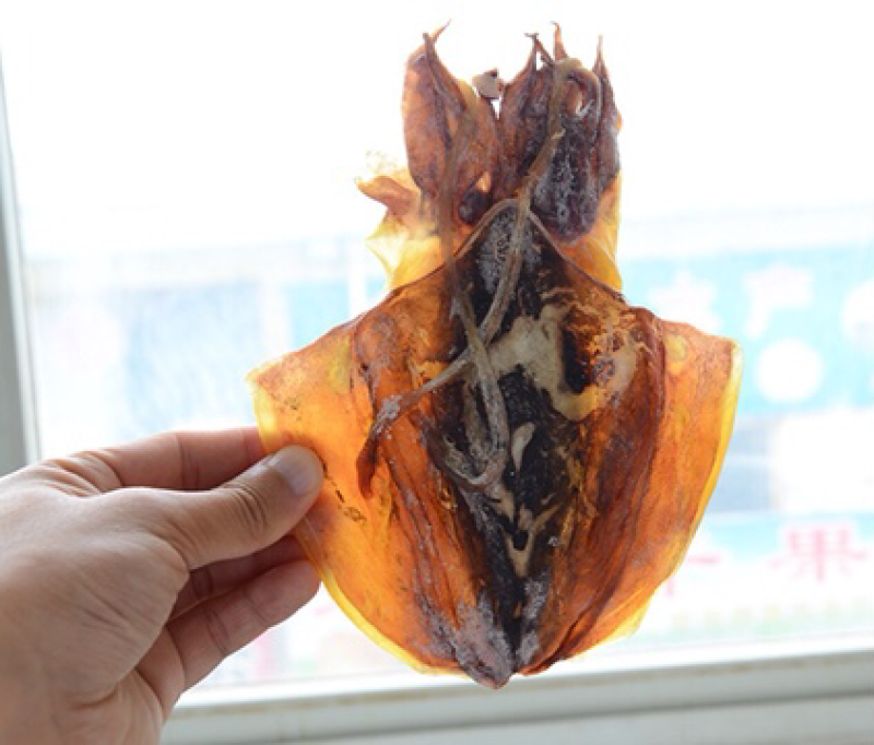 淡干墨鱼干
