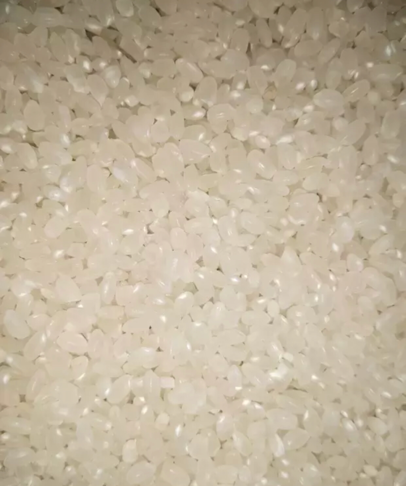 水稻稻谷苏秀金818