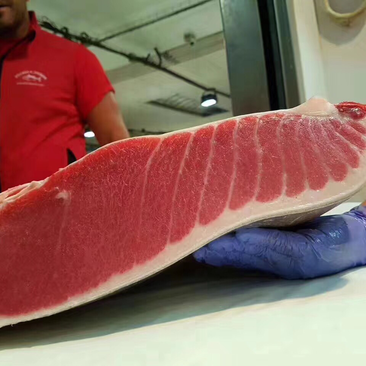 西班牙蓝鳍金枪鱼