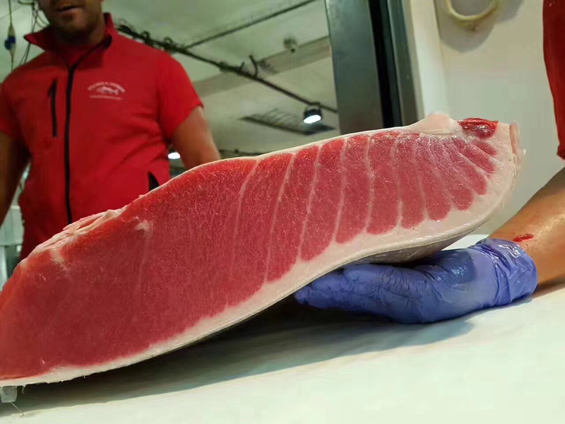 西班牙蓝鳍金枪鱼