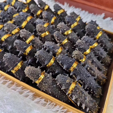 海参干