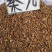 秦艽云南货内蒙货包邮无硫质量保证无杂质
