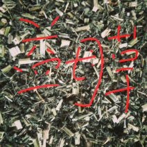 益母草