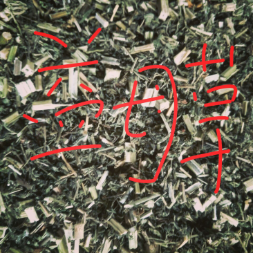 益母草