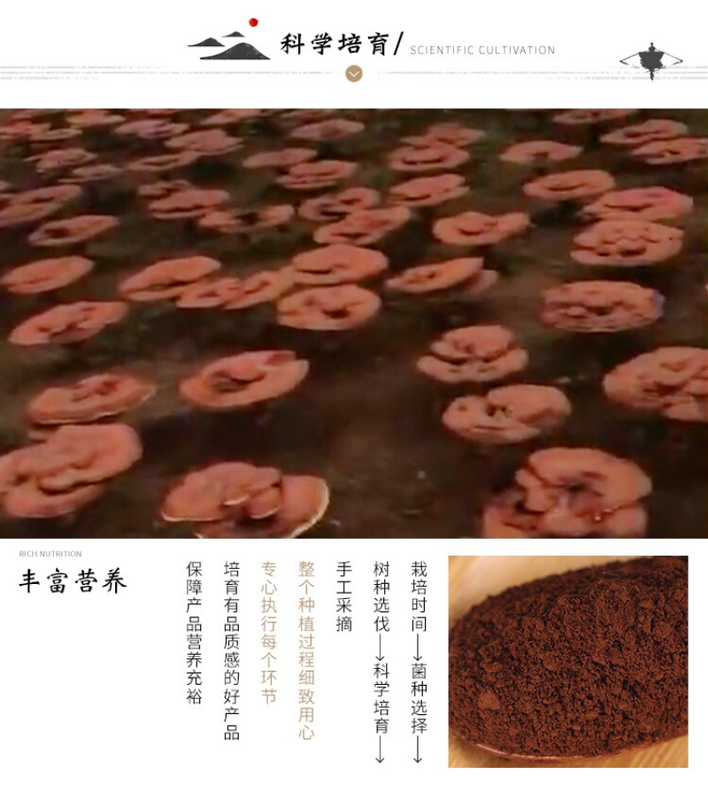 自己种植灵芝孢子粉原粉（没有破壁的）