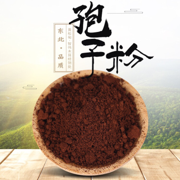 自己种植灵芝孢子粉原粉（没有破壁的）