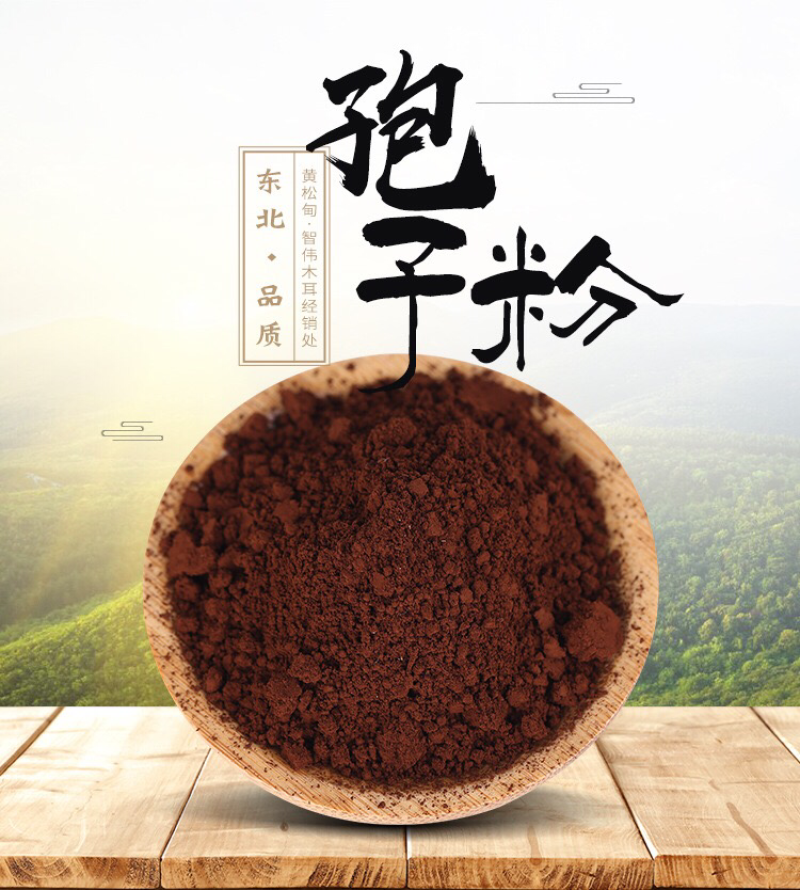自己种植灵芝孢子粉原粉（没有破壁的）