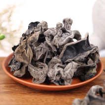大量批发东北特产黑木耳泡发量大1:15倍