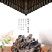 大量批发东北特产黑木耳泡发量大1:15倍