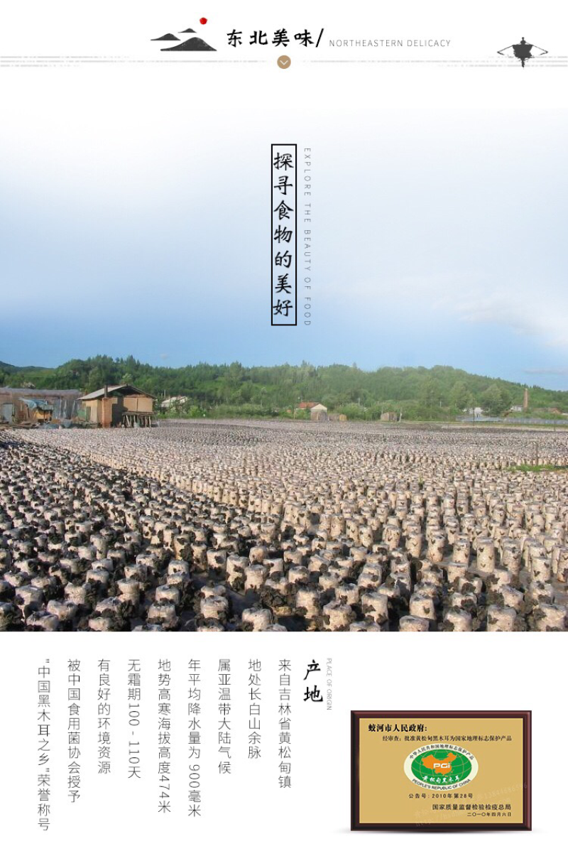 大量批发东北特产黑木耳泡发量大1:15倍