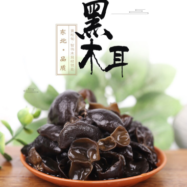 大量批发东北黑木耳，春耳，秋耳小碗耳