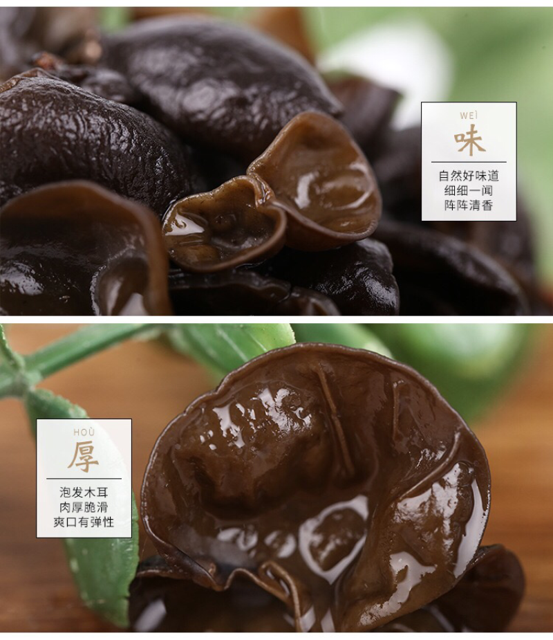 大量批发东北黑木耳，春耳，秋耳小碗耳
