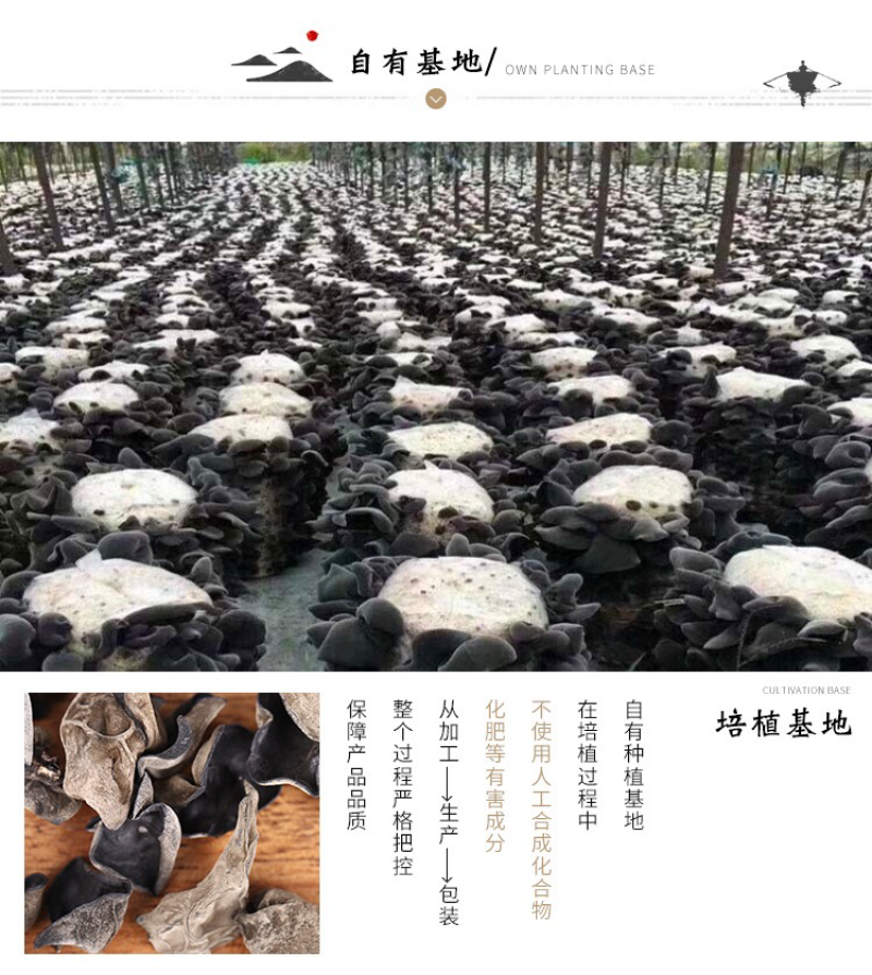 大量批发东北黑木耳，春耳，秋耳小碗耳