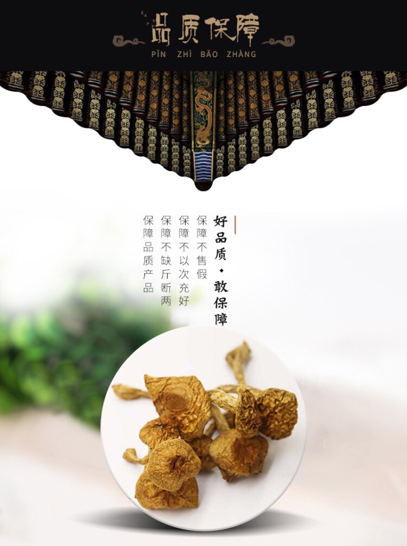 东北特产大量批发东北滑子蘑，滑子菇
