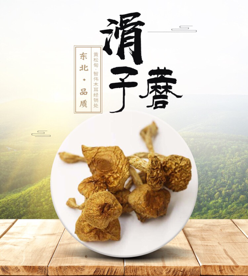 东北特产大量批发东北滑子蘑，滑子菇