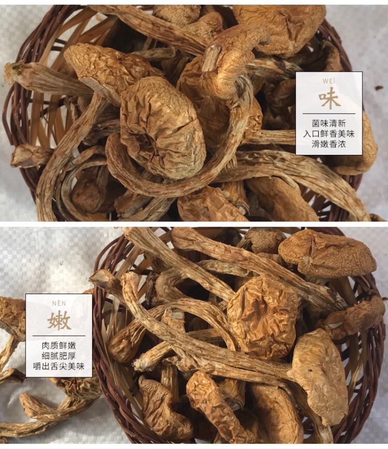 东北特产大量批发东北滑子蘑，滑子菇