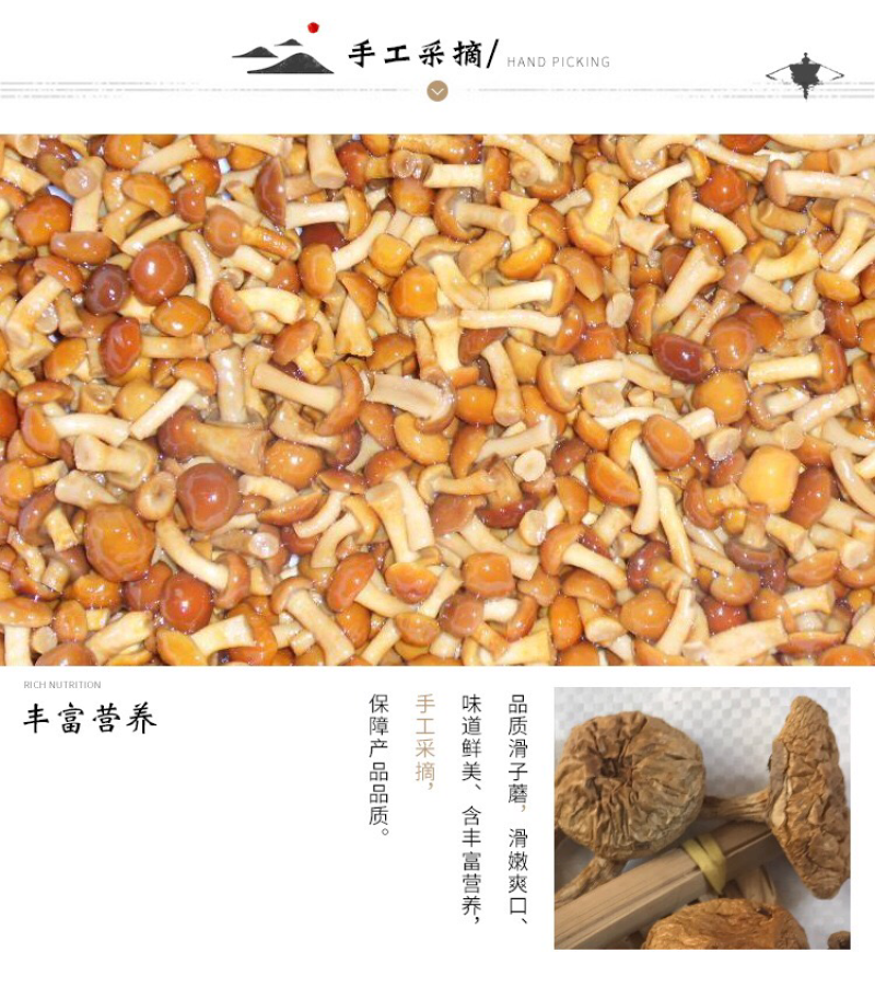 东北特产大量批发东北滑子蘑，滑子菇