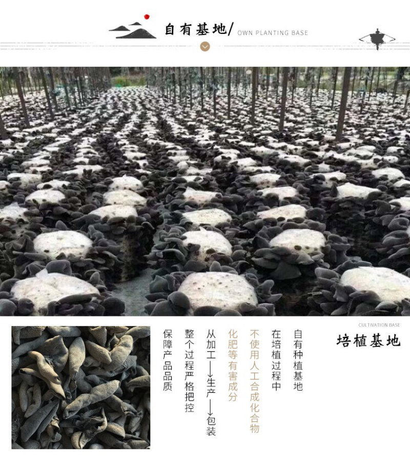 东北小耳，云耳大量批发东北黑木耳支持一件代发