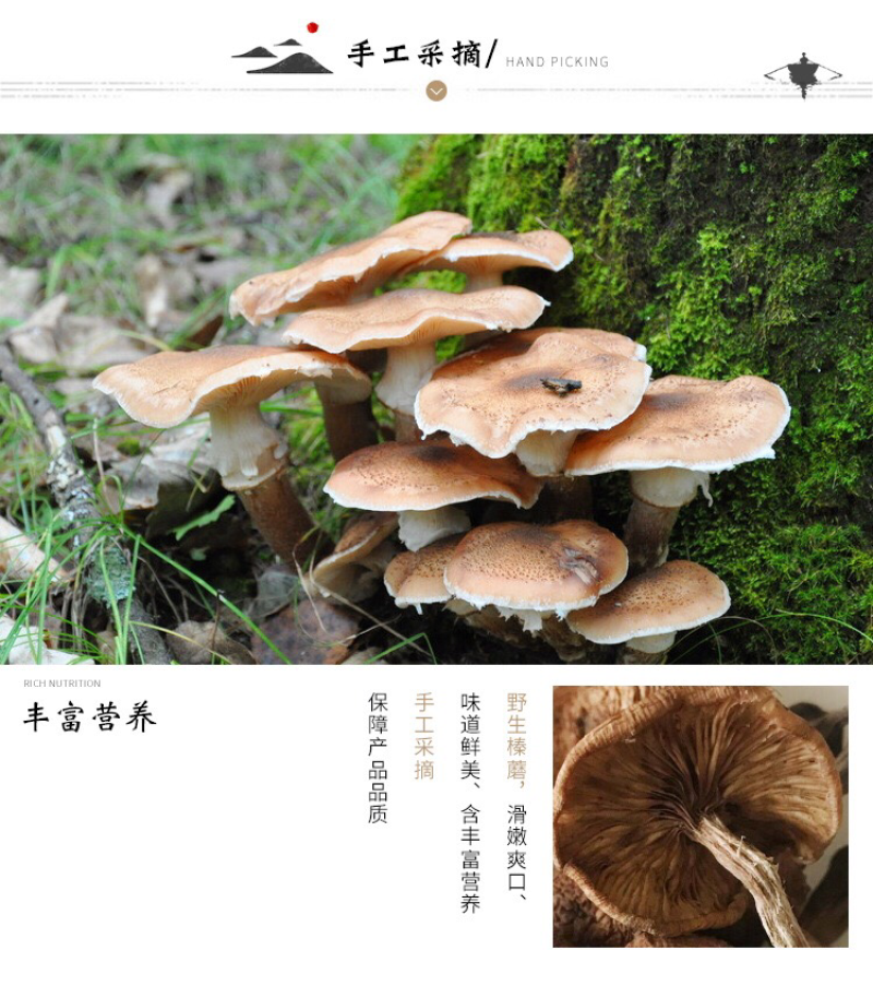 批发东北榛磨
