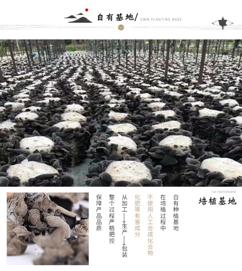 特产食用菌黑木耳包装礼盒250gX2盒1兜东北黑木耳
