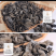 特产食用菌黑木耳包装礼盒250gX2盒1兜东北黑木耳