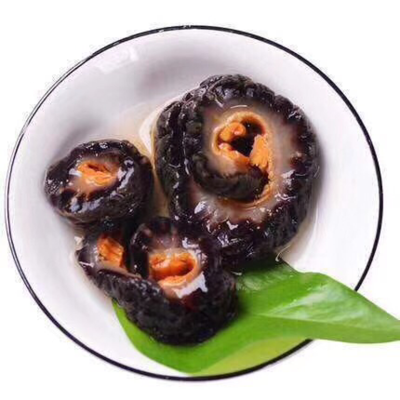 北极红海参