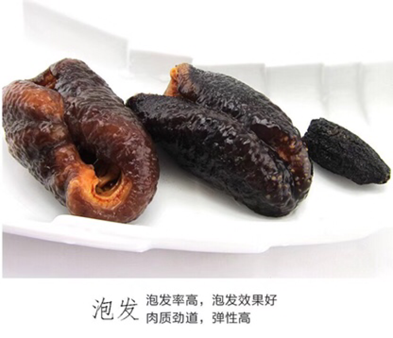 北极红海参